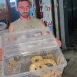 ВИДЕО показва питона, открит край детска площадка в Стара Загора
