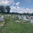 Мъж почисти сам гробищен парк, мнозина му се възхитиха СНИМКИ (ПРЕДИ и СЛЕД)