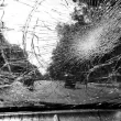Тежка катастрофа в Русе прати двама души в болница