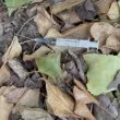 Тревожна гледка в Благоевград: Спринцовка с игла лежи до алея, по която минават семейства