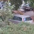 Мощен вятър удари наш град! Има щети СНИМКА