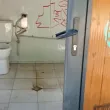 Тоалетна с панорамна гледка - нов вид нужник "радва" русенци ВИДЕО