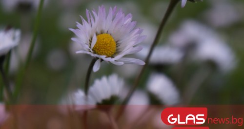 Утре ще бъде предимно слънчево. В следобедните часове ще се