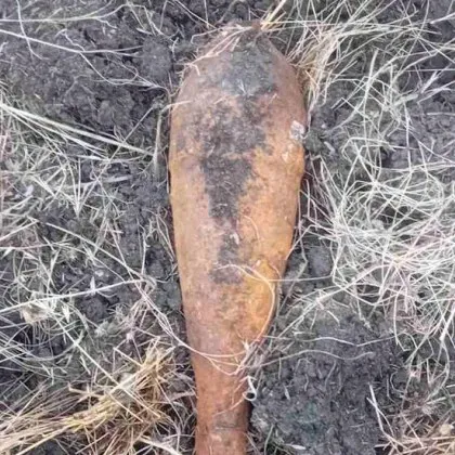 Опасна находка край Ямбол: Военни унищожиха силно корозирала мина с взривател
