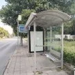 Неочаквана опасност дебне на спирка в Пловдив, има ужилен СНИМКИ