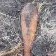 Опасна находка край Ямбол: Военни унищожиха силно корозирала мина с взривател