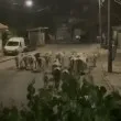 &bdquo;След години ще плащате, за да видите това": Няколко крави разделиха България ВИДЕО