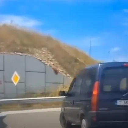 "Баничарка" шашардиса столичани с маневра ВИДЕО