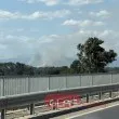 Пожар избухна край Белозем днес СНИМКИ