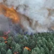Мащабен пожар край Париж, евакуираха жители и затвориха магистрала
