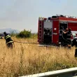 Гъст дим и 500 декара пепел: Пожарът край Асеновград не стихва
