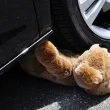 Водач блъсна внезапно изскочило на пътя дете във Видинско
