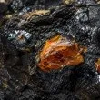 Откриха най-стария кехлибар в света, появил се много преди динозаврите