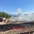 Овладяха пожара в Благоевградско