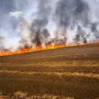 Локализираха пожара край Стара Загора