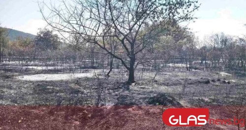 Пожарът в района на Баритна мина край Стара Загора е
