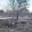 Изгасен е пожарът в Стара Загора