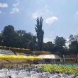 Очаква се 5000 да разберат победителя на Световното по футбол на стадион "Юнак" в София