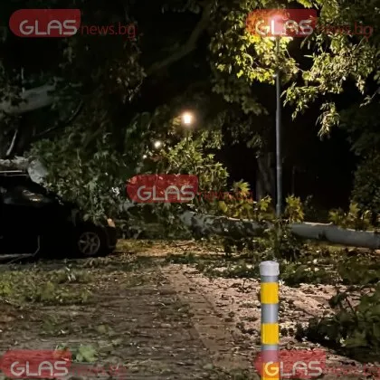 Бурята в Пловдив: 422 сигнала, спасени хора и десетки премазани автомобили СНИМКИ