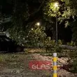 Бурята в Пловдив: 422 сигнала, спасени хора и десетки премазани автомобили СНИМКИ