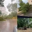 Мощна буря удари наш град! Рухнаха дървета, има щети ВИДЕО+СНИМКИ