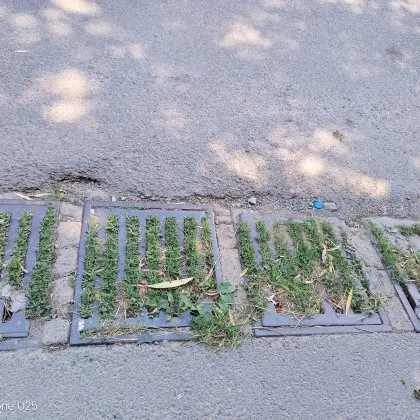 След бурите и наводненията: Шахти са запушени и обрасли с трева СНИМКИ
