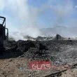Чудо насред огнения ад! Спасиха щъркел, попаднал в капан при пожара в Асеновград ВИДЕО+СНИМКИ