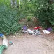 "Прасета" превърнаха в кочинка китна беседка СНИМКИ