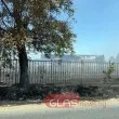 Продължава битката с големия пожар край Асеновград ВИДЕО+СНИМКИ