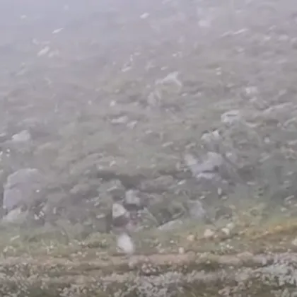 Сняг вали само на няколкостотин километра от България ВИДЕО