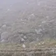Сняг вали само на няколкостотин километра от България ВИДЕО