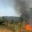 Пожар пламна край Луковит