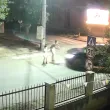 Баща и дете бяха пометени на пешеходна пътека в Червен брях, публикуваха потресаващо ВИДЕО