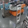 Сивата гъска отлетя без касова бележка: Камери заснеха дръзка кражба ВИДЕО