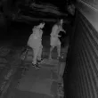 Запечатано от камера: Мъж и жена изоставиха котка в столичния квартал "Сухата река"
