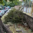 9 дни след бурята клони все още блокират тротоари в Пловдив СНИМКИ