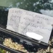 Клон смаза кола във Видин. Един непознат направи това, което институциите не успяха