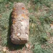 Откриха невзривени боеприпаси в парк във Видин
