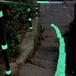 Светеща в тъмното боя за маркировка тестват в София СНИМКИ