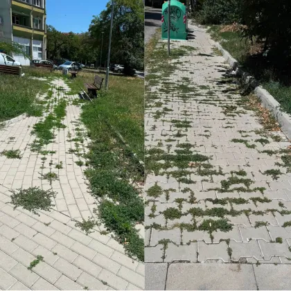 Защо никой не поддържа?: Бурени и счупен паваж завзеха градинките в &bdquo;Банишора"