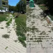 Защо никой не поддържа?: Бурени и счупен паваж завзеха градинките в &bdquo;Банишора"