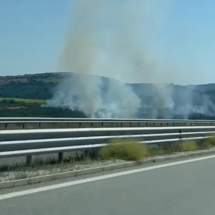 Пожар гори край АМ "Хемус" ВИДЕО