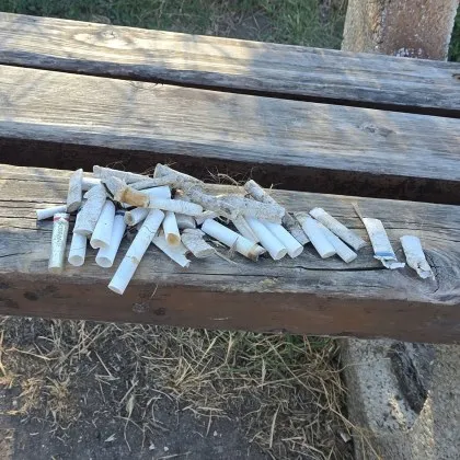Жител на София показа тревожна гледка от кучешка площадка СНИМКА