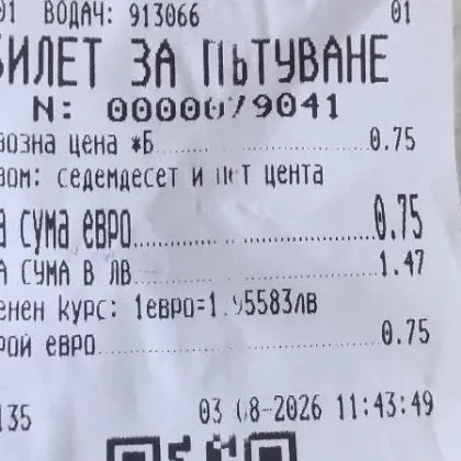 &bdquo;Аз гладен ли да стоя?": Пътуване с три внучета завърши с горчив вкус в русенски тролей