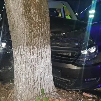 Шофьорка се блъсна челно в дърво, разсеяла се от телефона, 13-годишен пострада тежко СНИМКИ