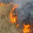 Избухна пожар край Сливница ВИДЕО