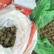 Обвиниха мъжа, заловен с дрога за над 14 000 евро в Сопот