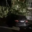 Огромно дърво премаза кола в Монтана, жители алармират за нови опасни гиганти