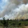 Пожар гори край АМ "Тракия" СНИМКИ