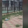 Тук играят деца... Екскременти и смет посрещат посетителите на парк в наш град ВИДЕО